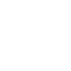 dizzieslogo